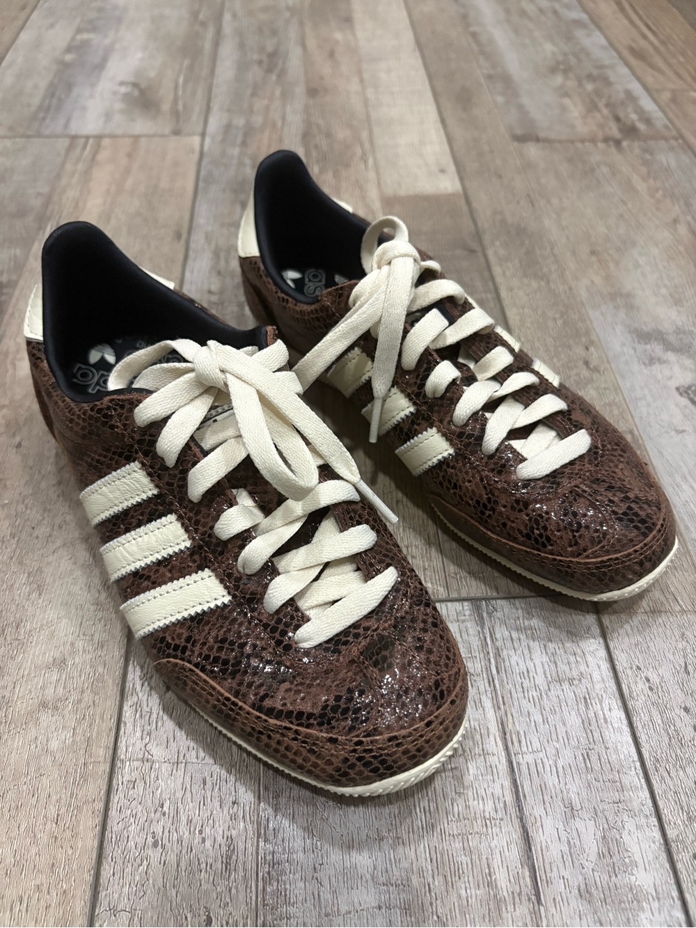 Adidas Japan Shoes snakeskin